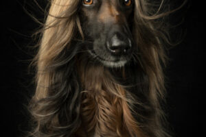 Annemiek Muller-Rijnaard (6)