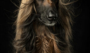 Annemiek Muller-Rijnaard (6)