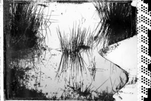 240125 just Herm - Intrepid 4x5 - Polaroid Type 55 PN expired - Joamerdal Venlo walk on film - scanned negative 003 - LowRes