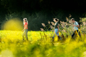 Klompenpad van Stichting Landschapsbeheer Gelderland in Rozendaal