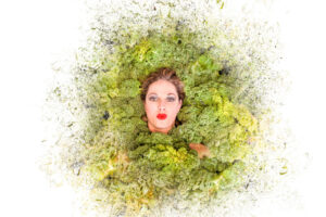 20250320_showreal-066